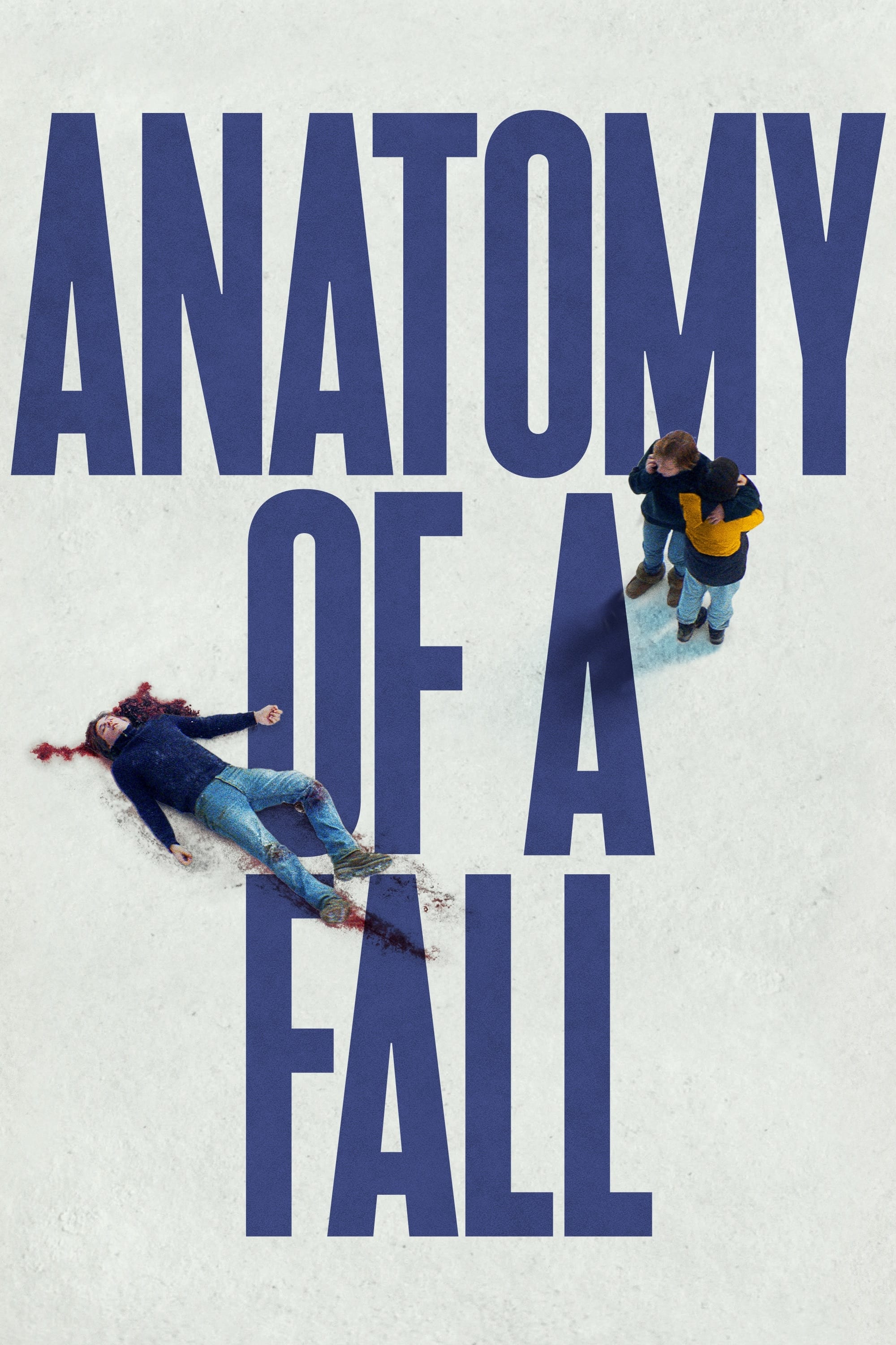 anatomy of a fall japanese poster