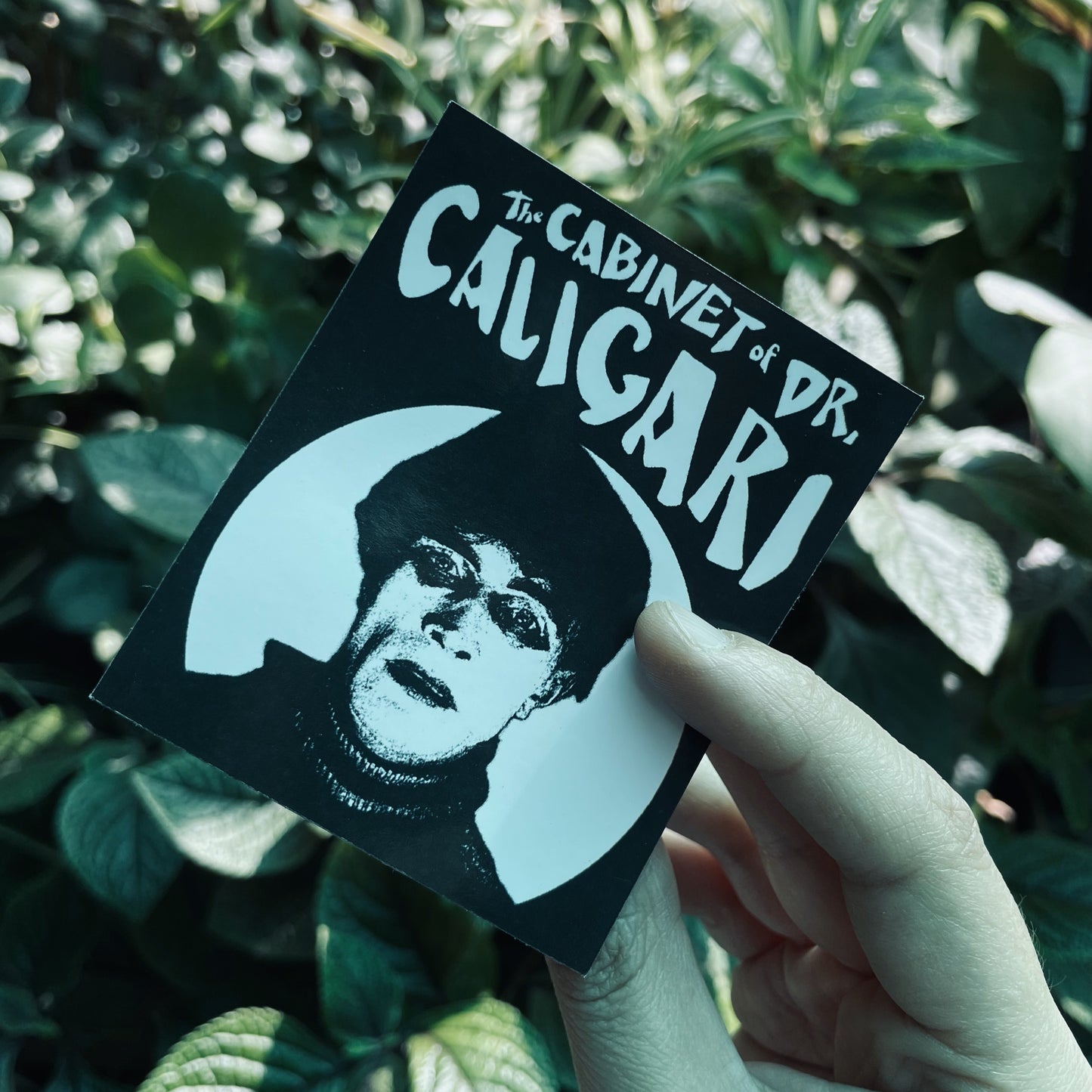 Sticker The Cabinet of Dr. Caligari