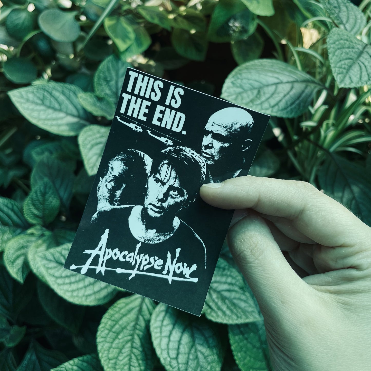 Polerón Polo - Apocalypse Now