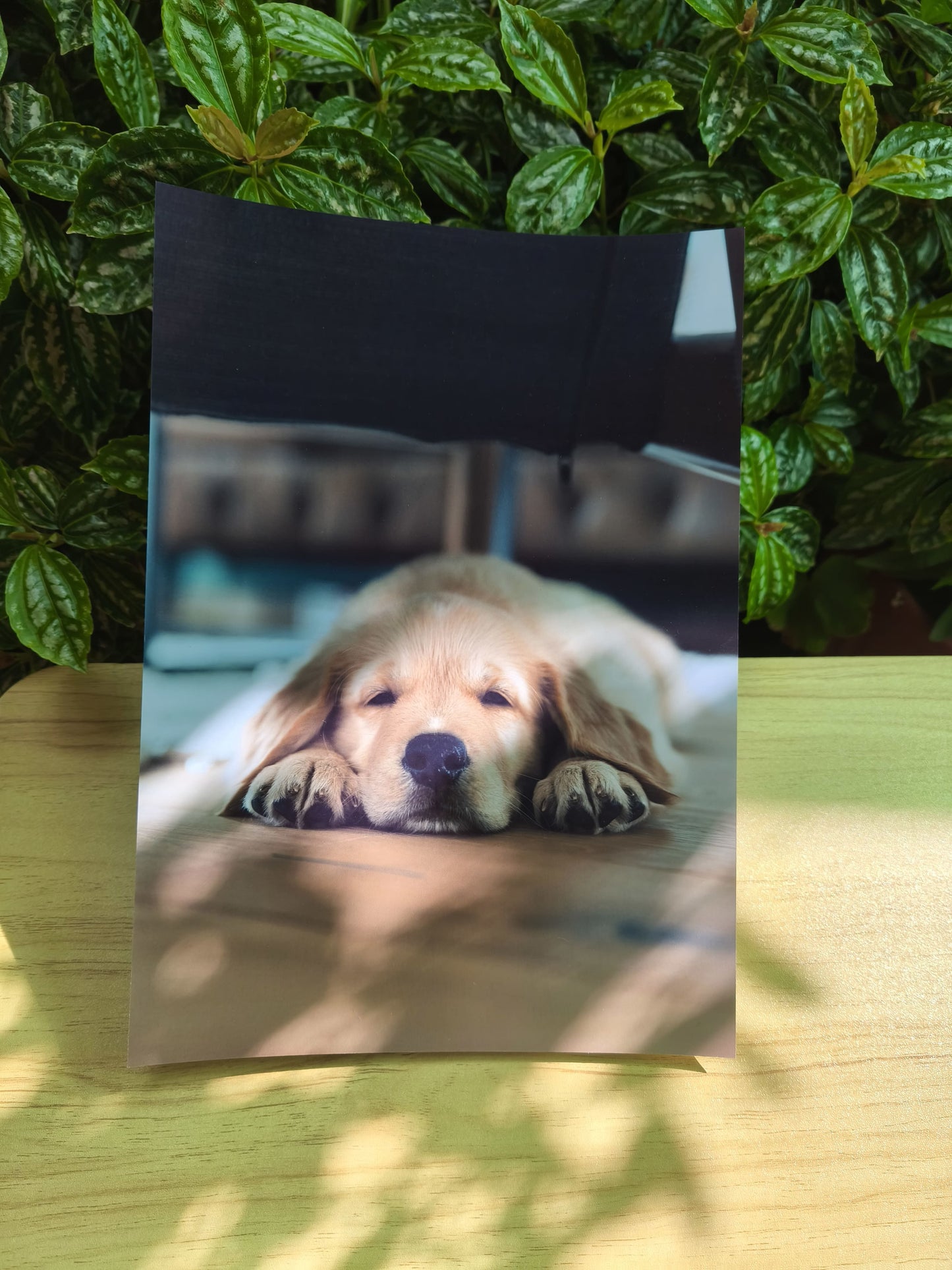 Afiches A4 - Personalizados