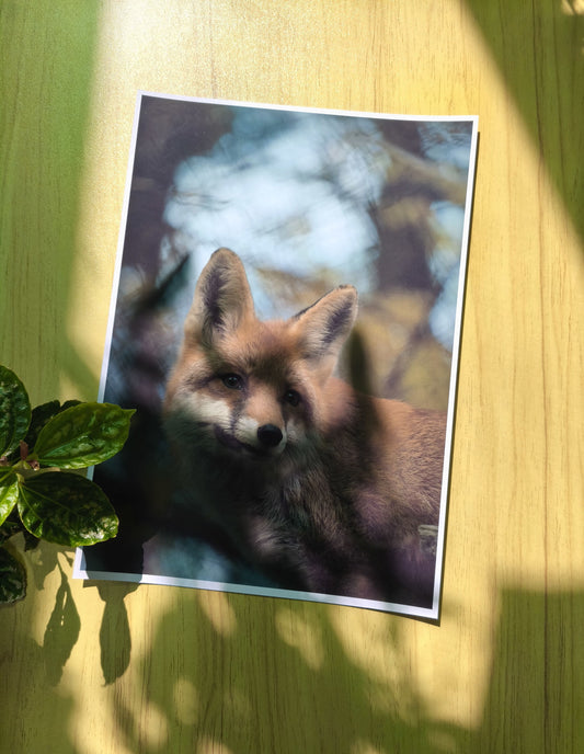 Afiches A4 - Personalizados