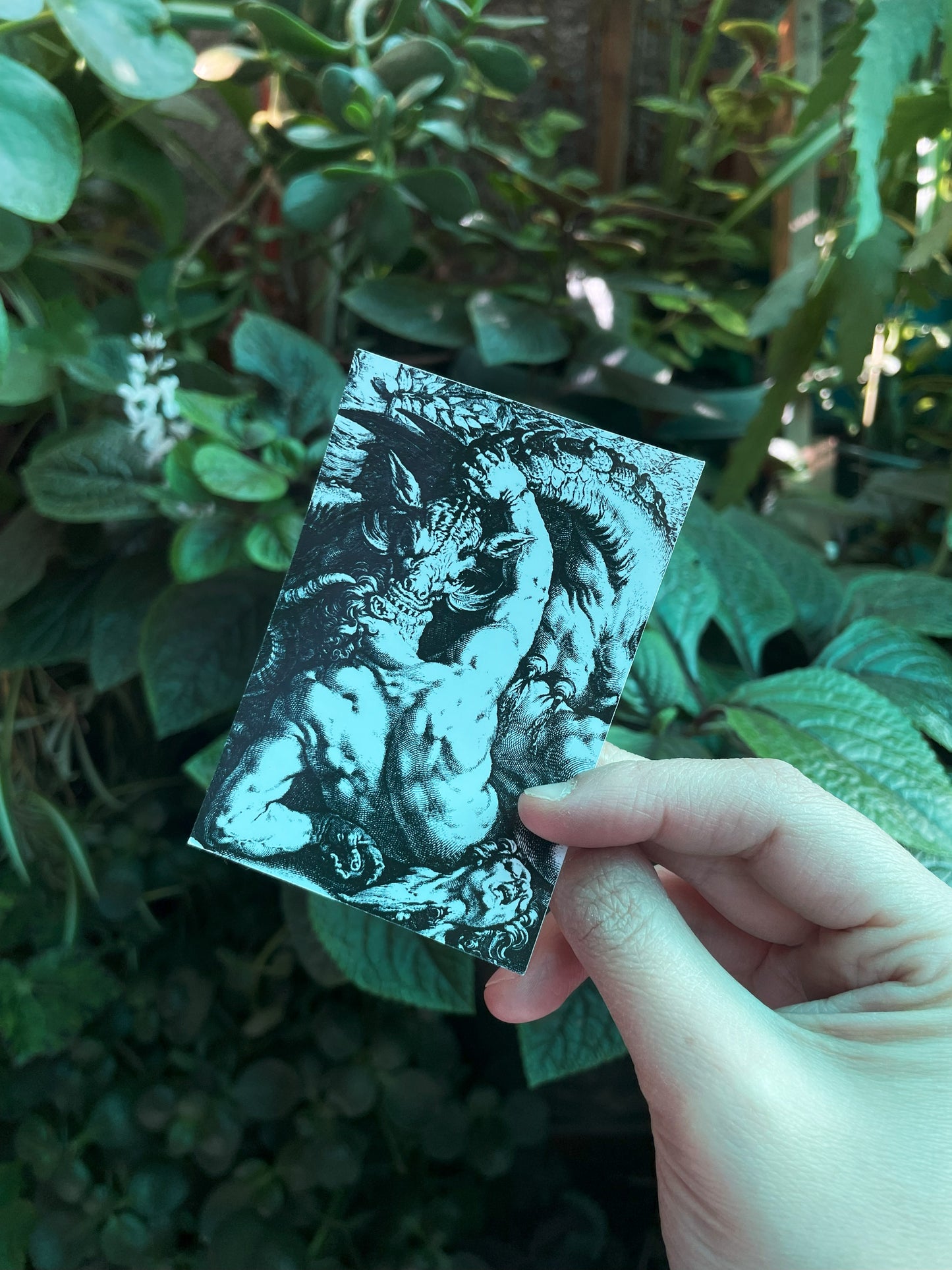 Sticker Hendrik Goltzius