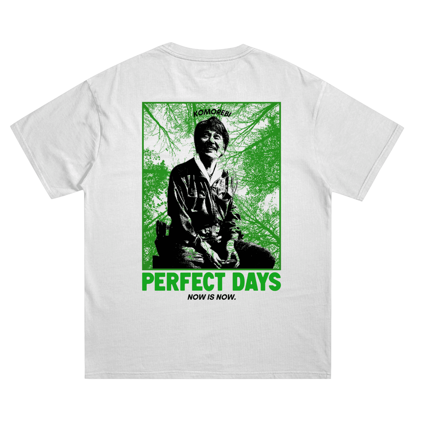 Perfect Days