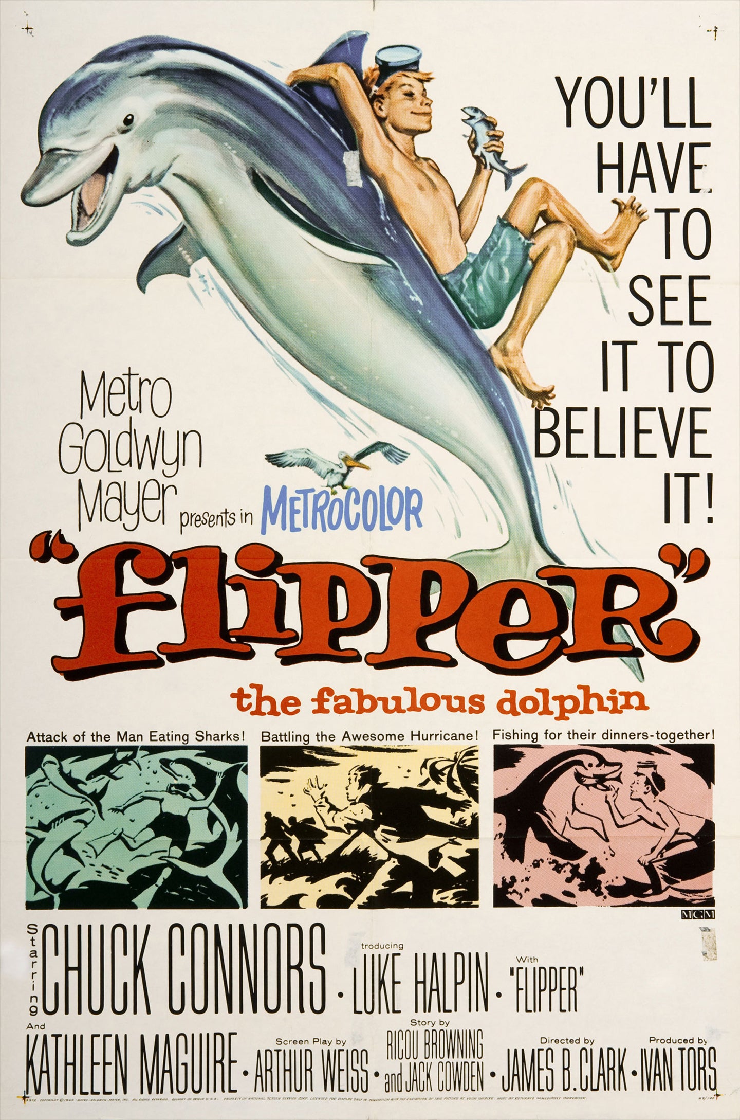 Poster: Flipper's New Adventure
