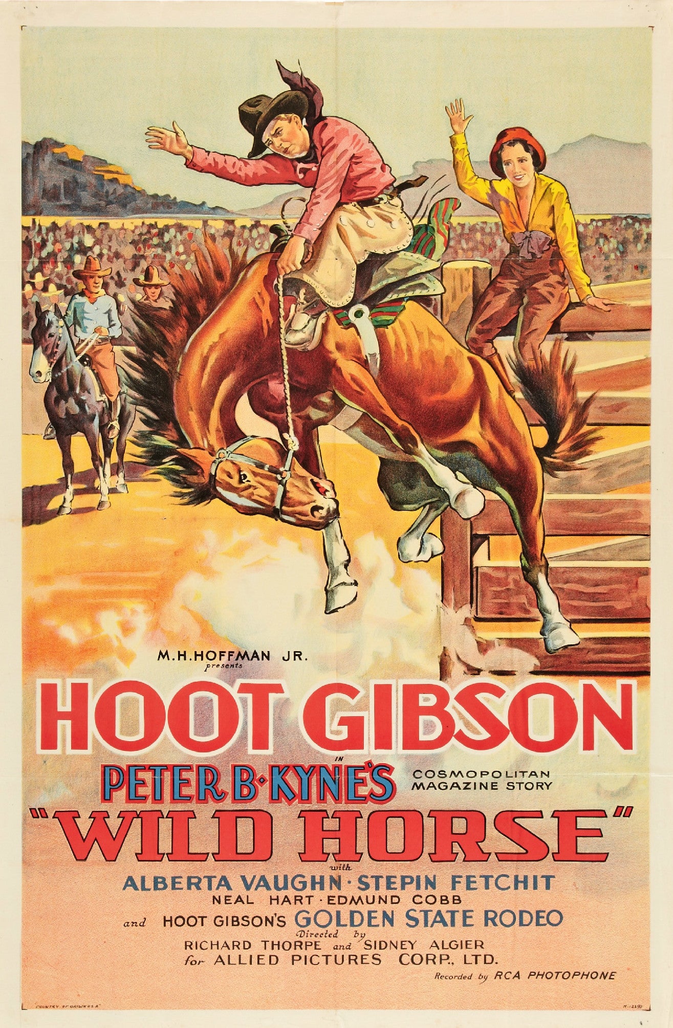 Poster: Wild Horse