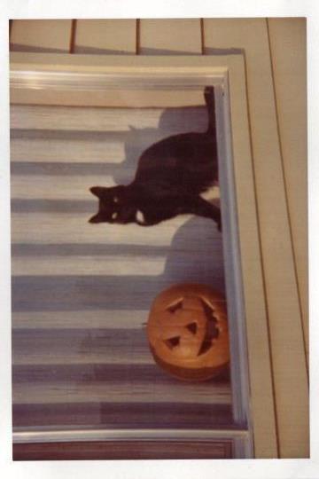 Afiches A4 - witch