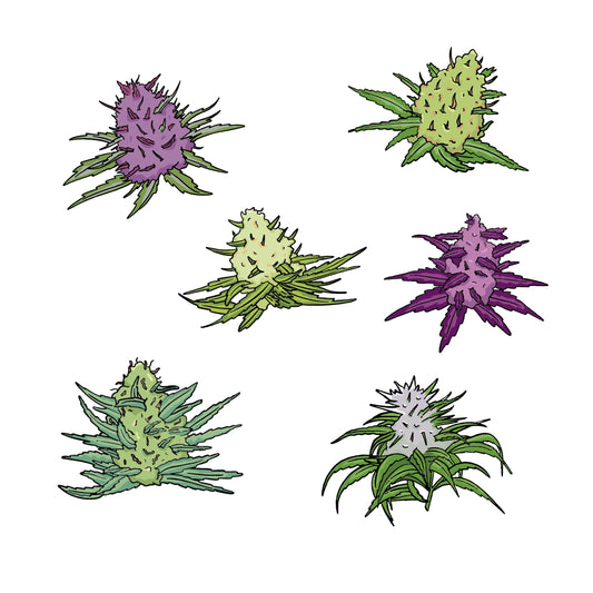Stickers Pack 36