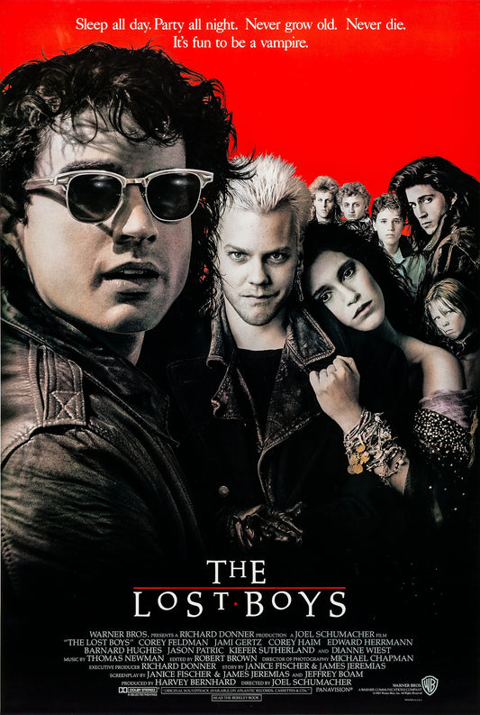 Poster: The lost boys