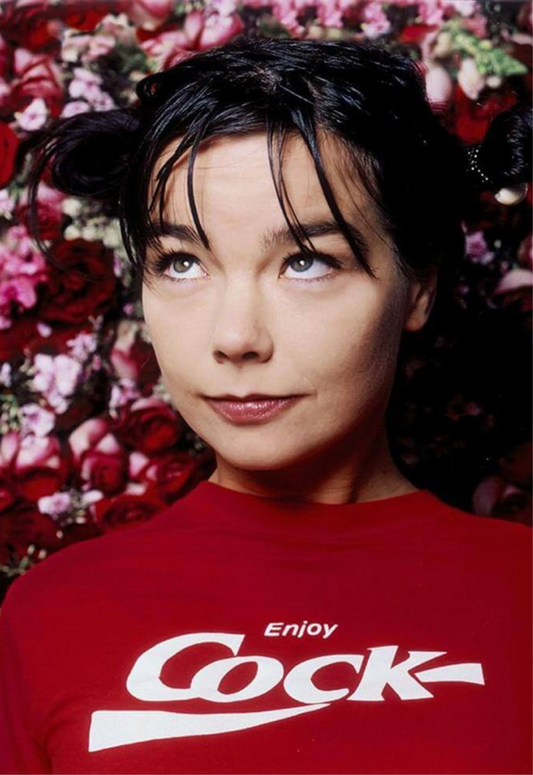 Poster: Björk