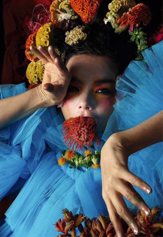 Poster: Björk