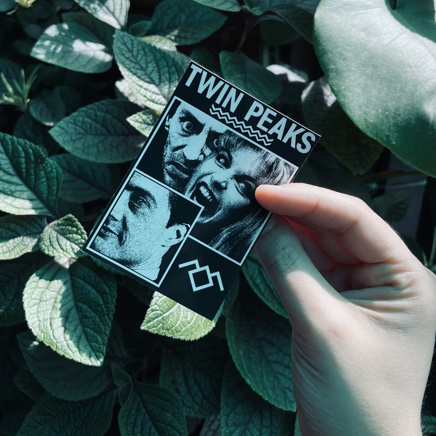 Twin Peaks - Manga Larga