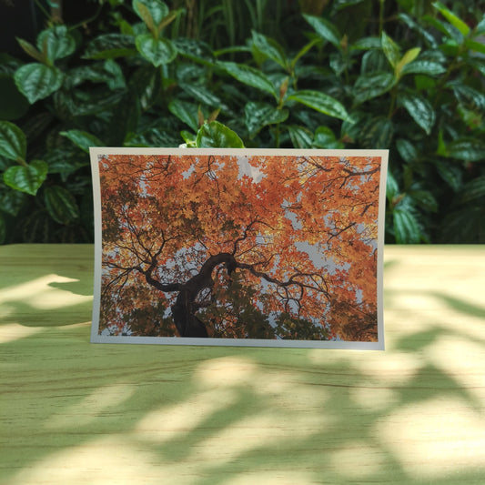 Postcards 10x15 - Personalizados