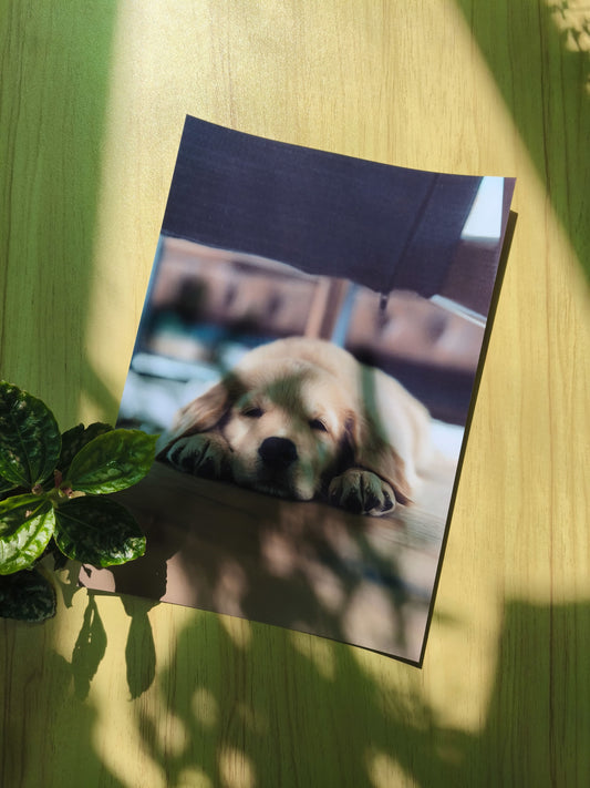 Afiches A4 - Personalizados