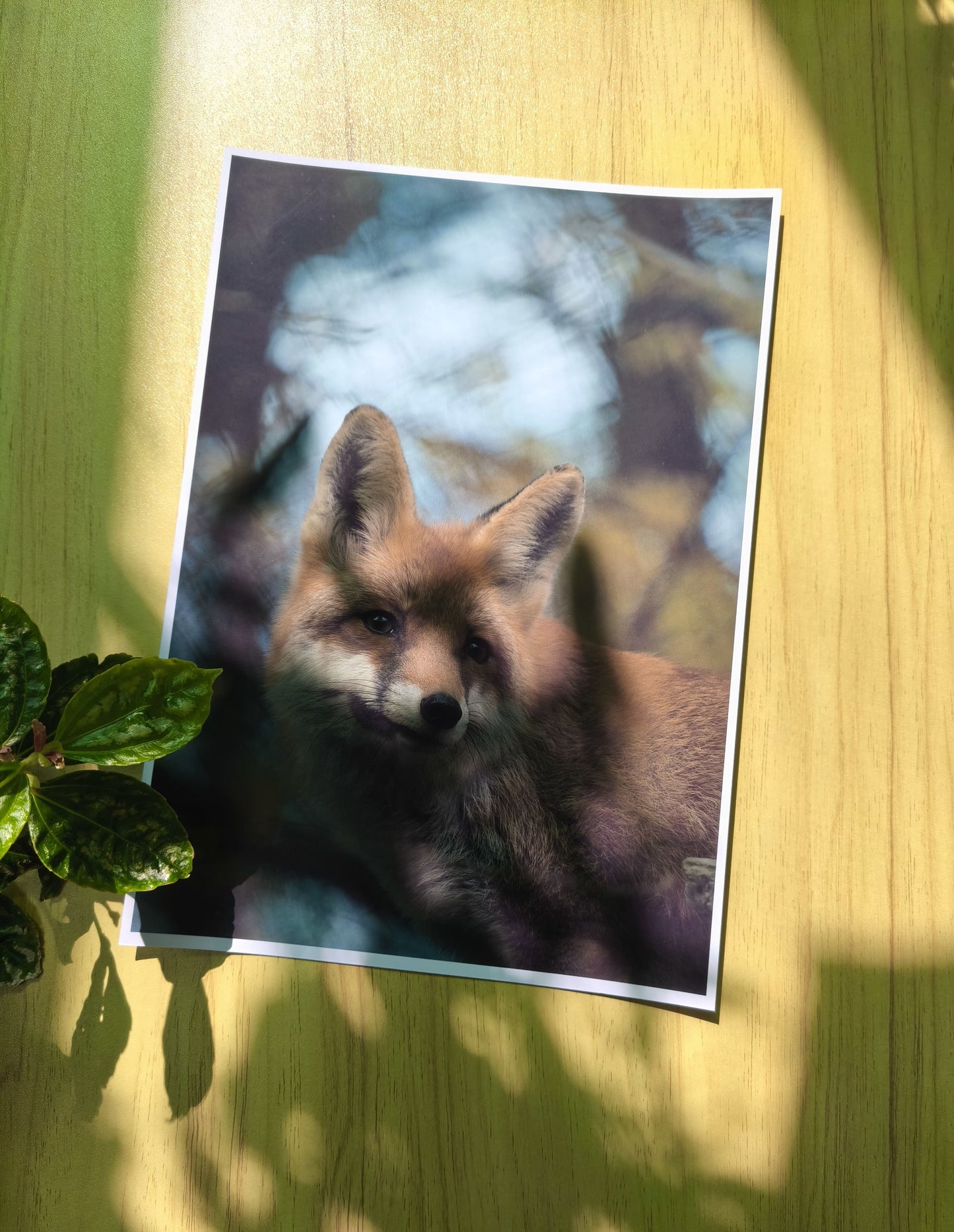 Afiches A4 - Personalizados