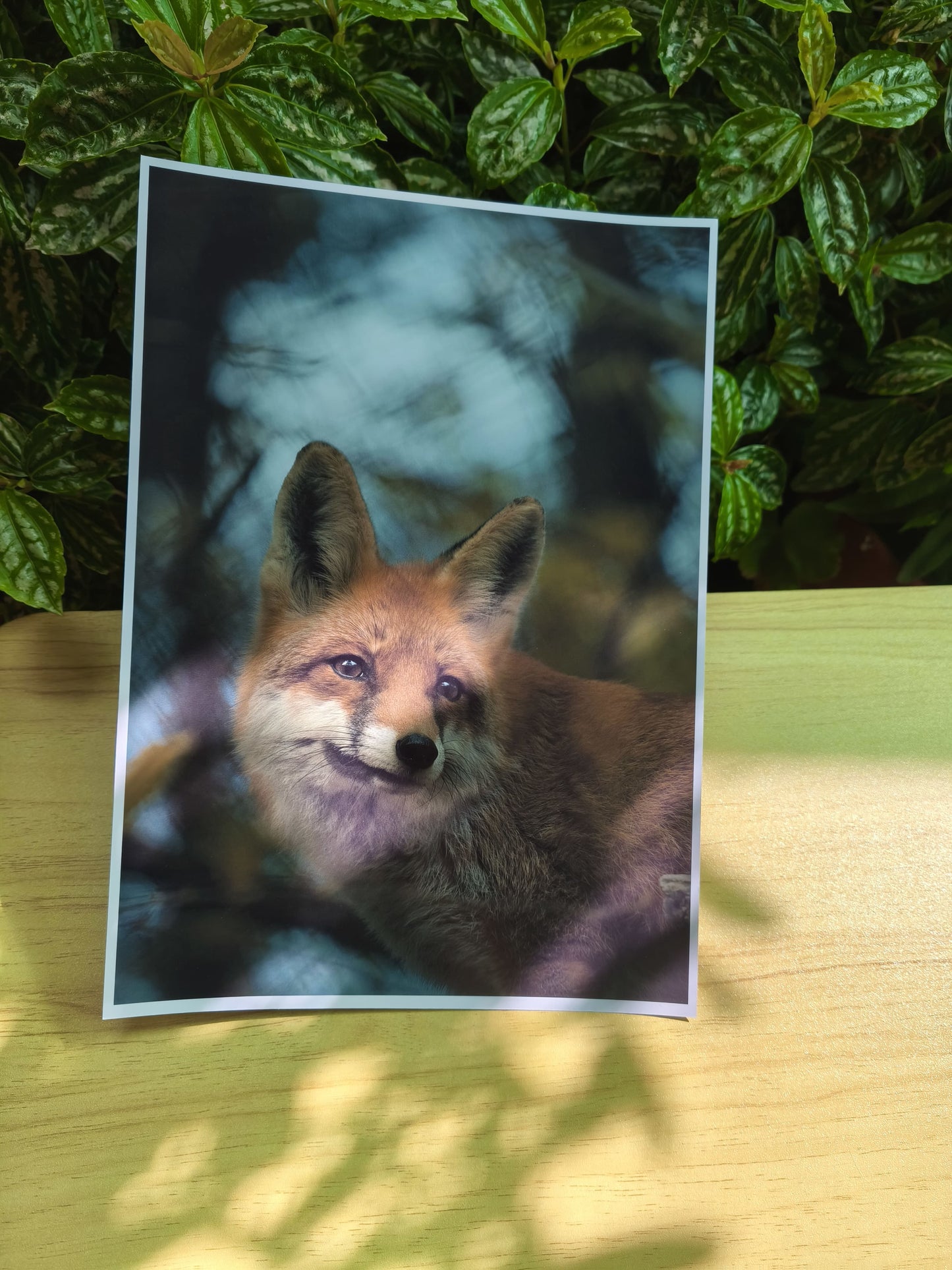 Afiches A4 - Personalizados