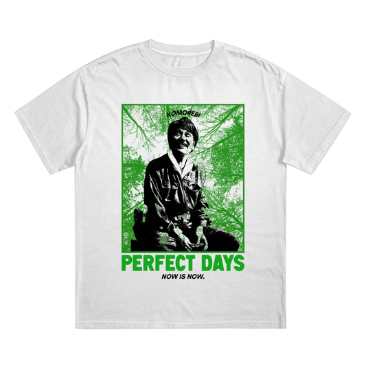 Perfect Days