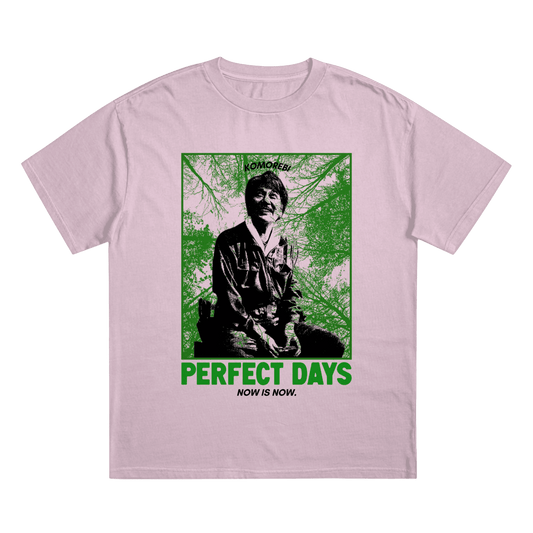Perfect Days