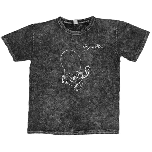 Sigur Ros / Mineral Wash