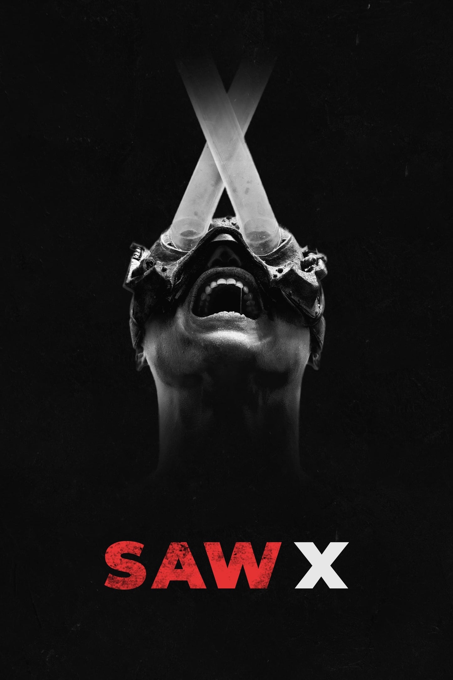 Poster:  Saw X