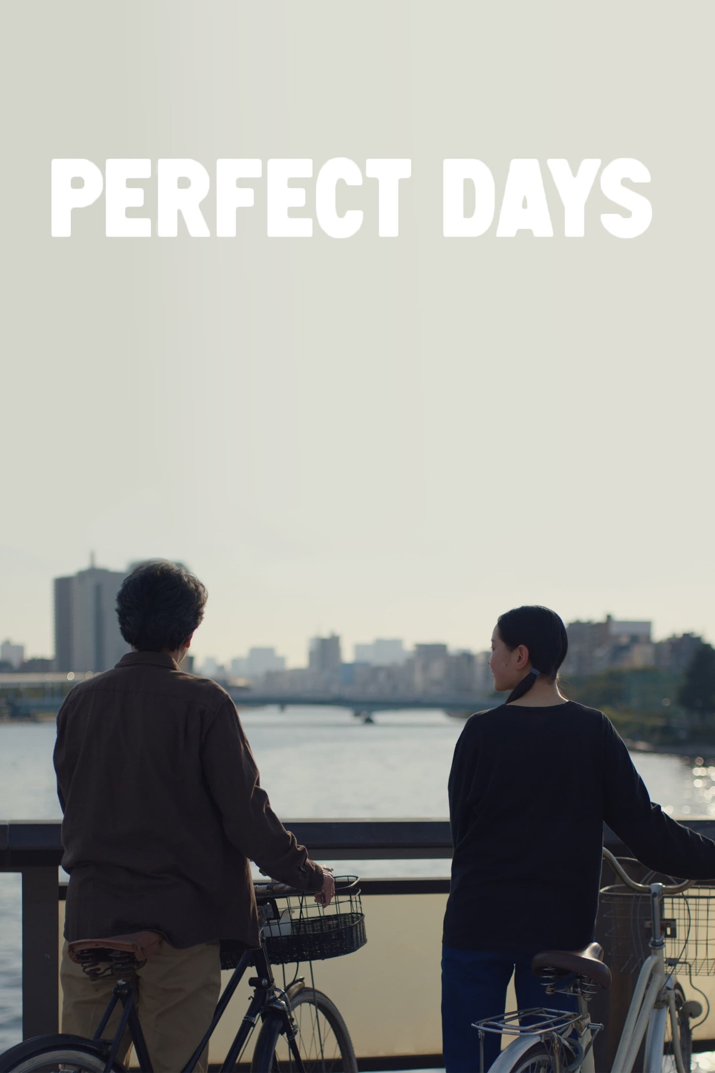 Poster: Perfect Days