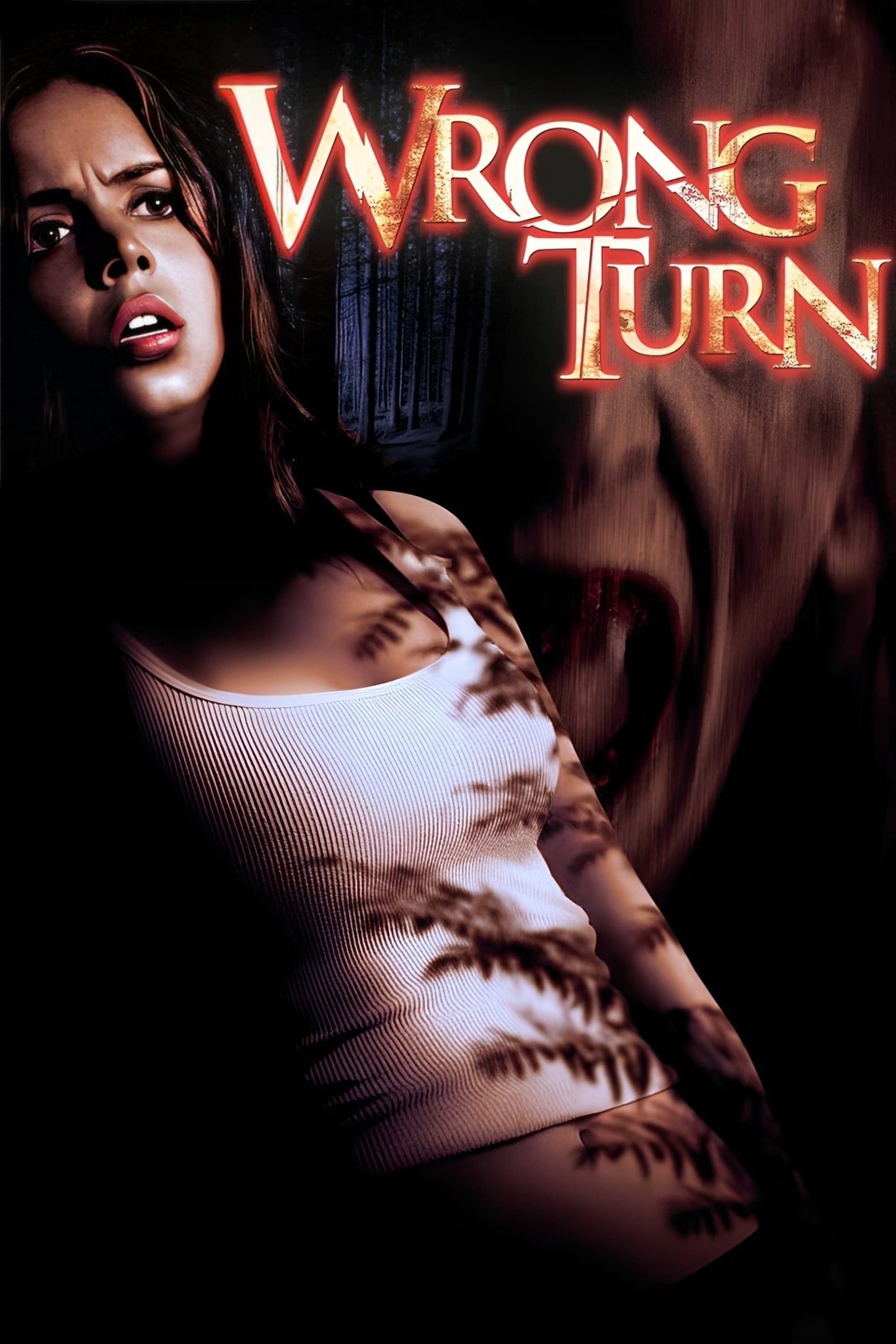 Poster: Wrong Turn