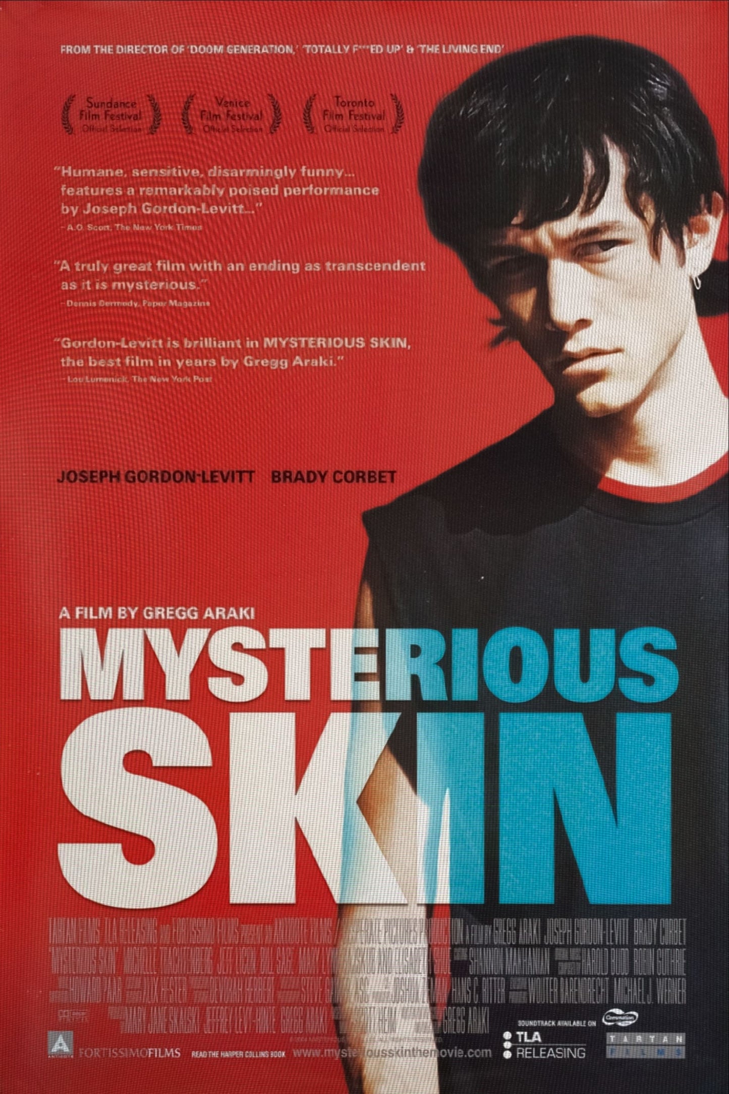 Poster: Mysterious Skin