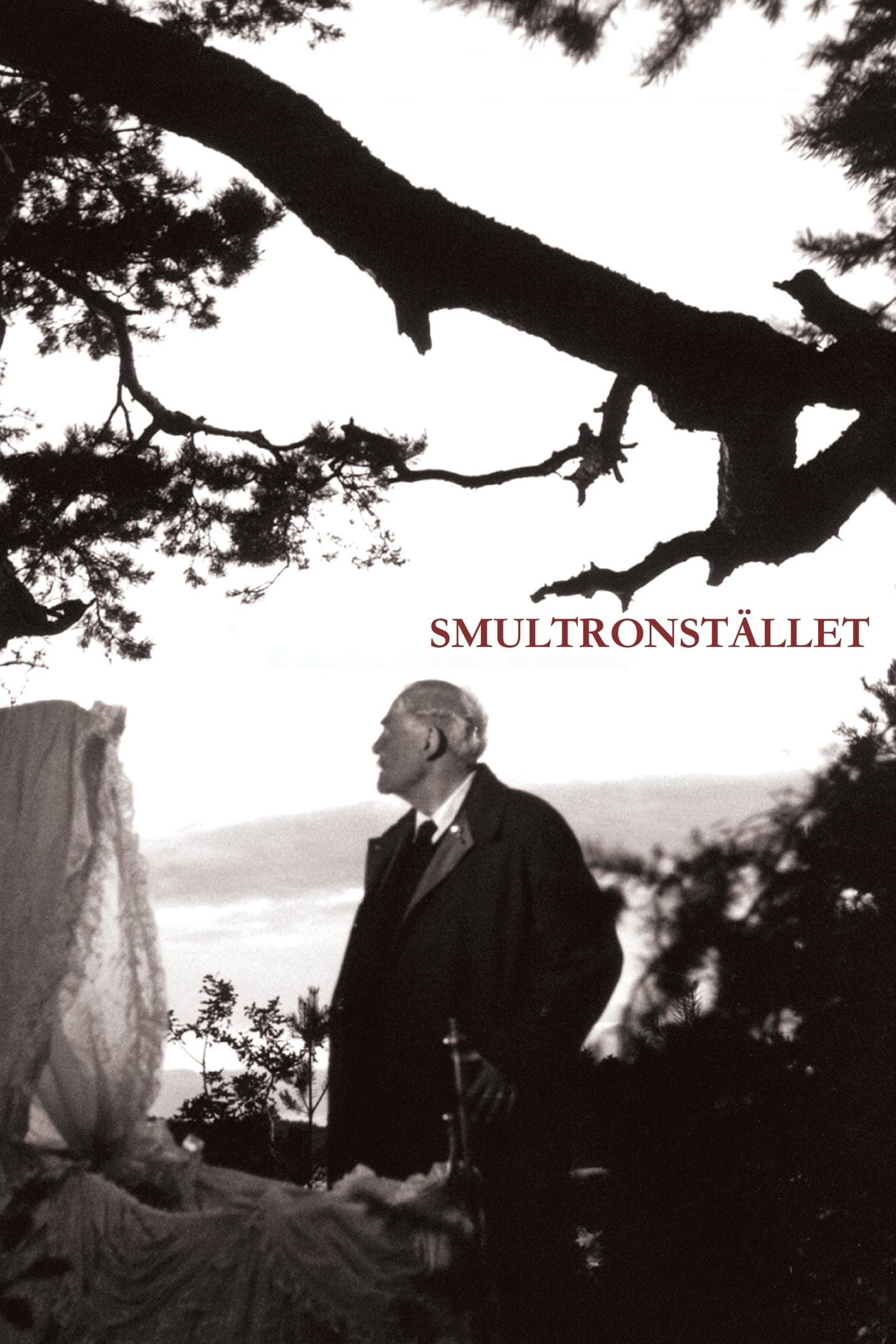 Poster: Smultronstället