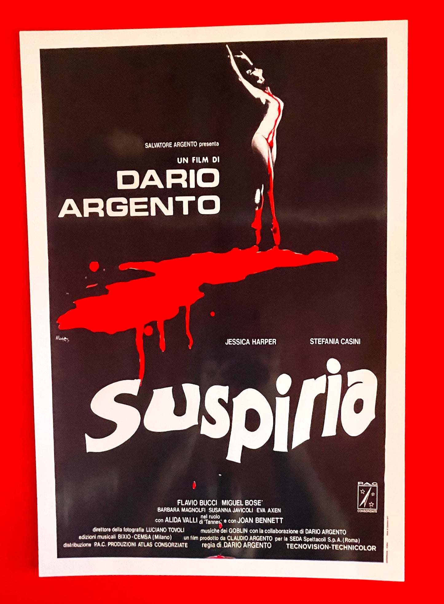 Suspiria - Postcards + Poster