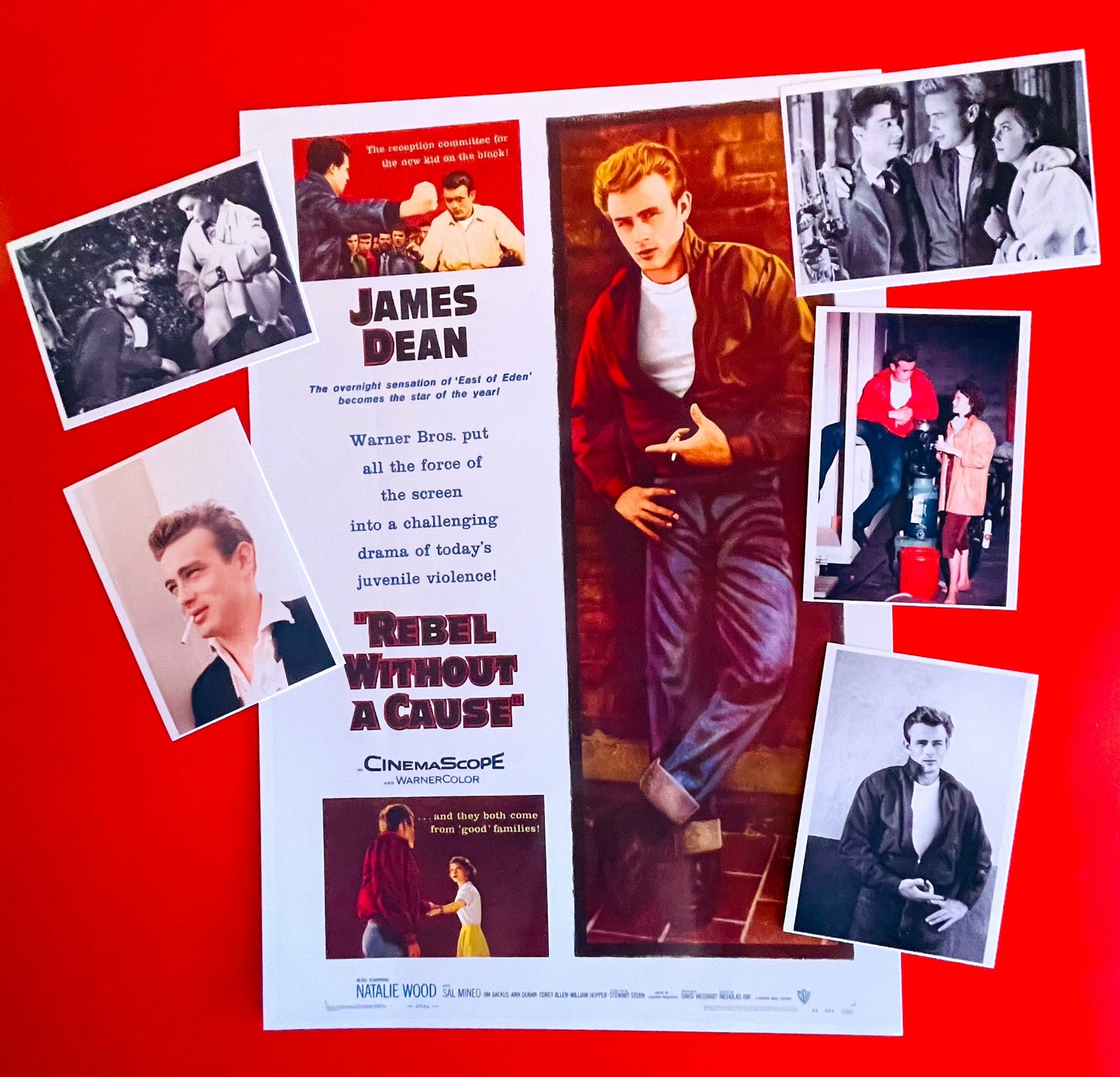 Rebel Without A Cause - Postcards + Poster