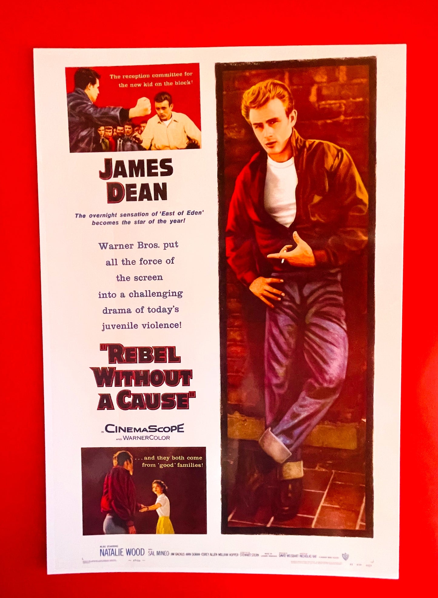 Rebel Without A Cause - Postcards + Poster