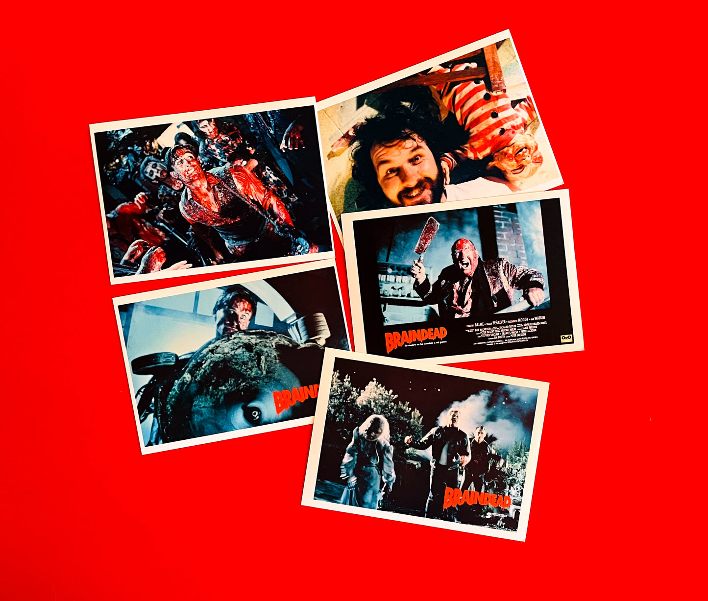 Dead Alive - Postcards + Poster