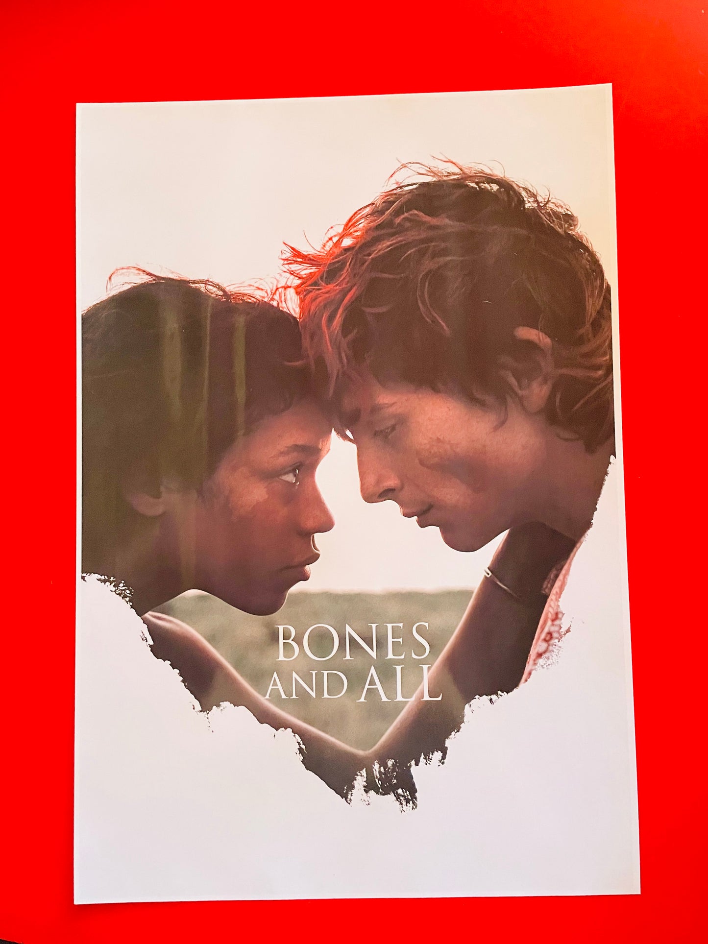 Bones and All - Postcards + Poster