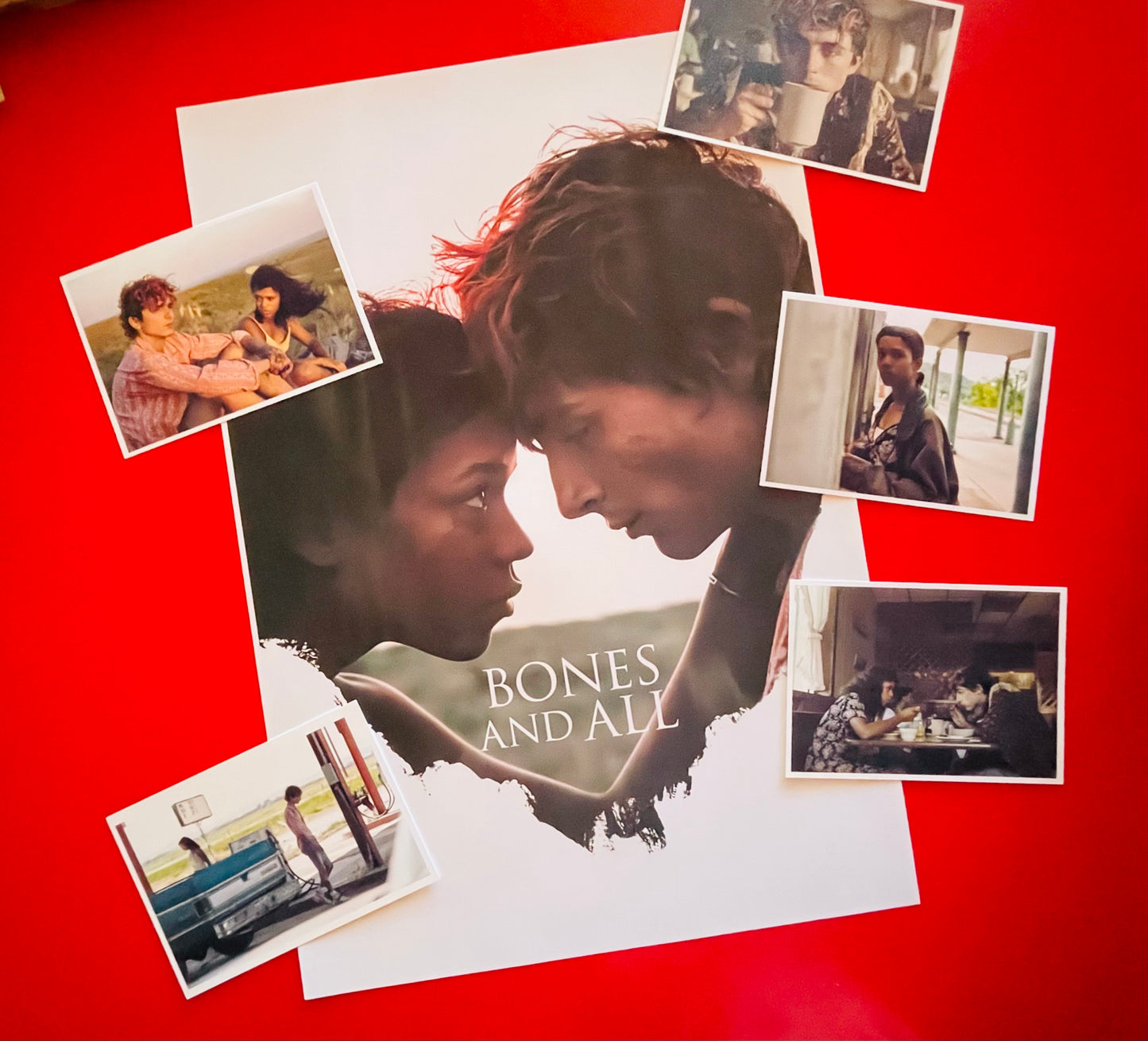 Bones and All - Postcards + Poster