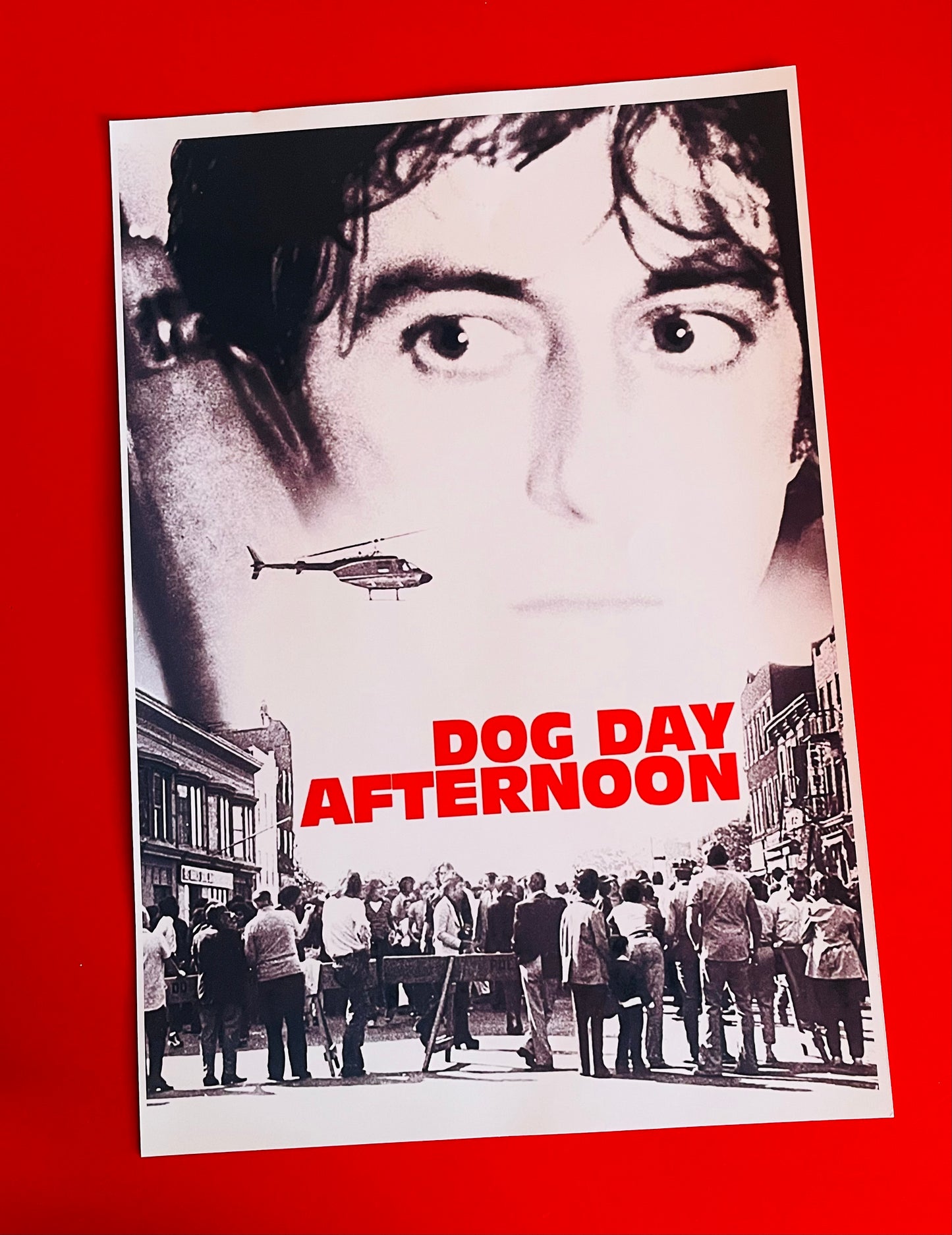 Dog Day Afternoon - Postcards + Poster