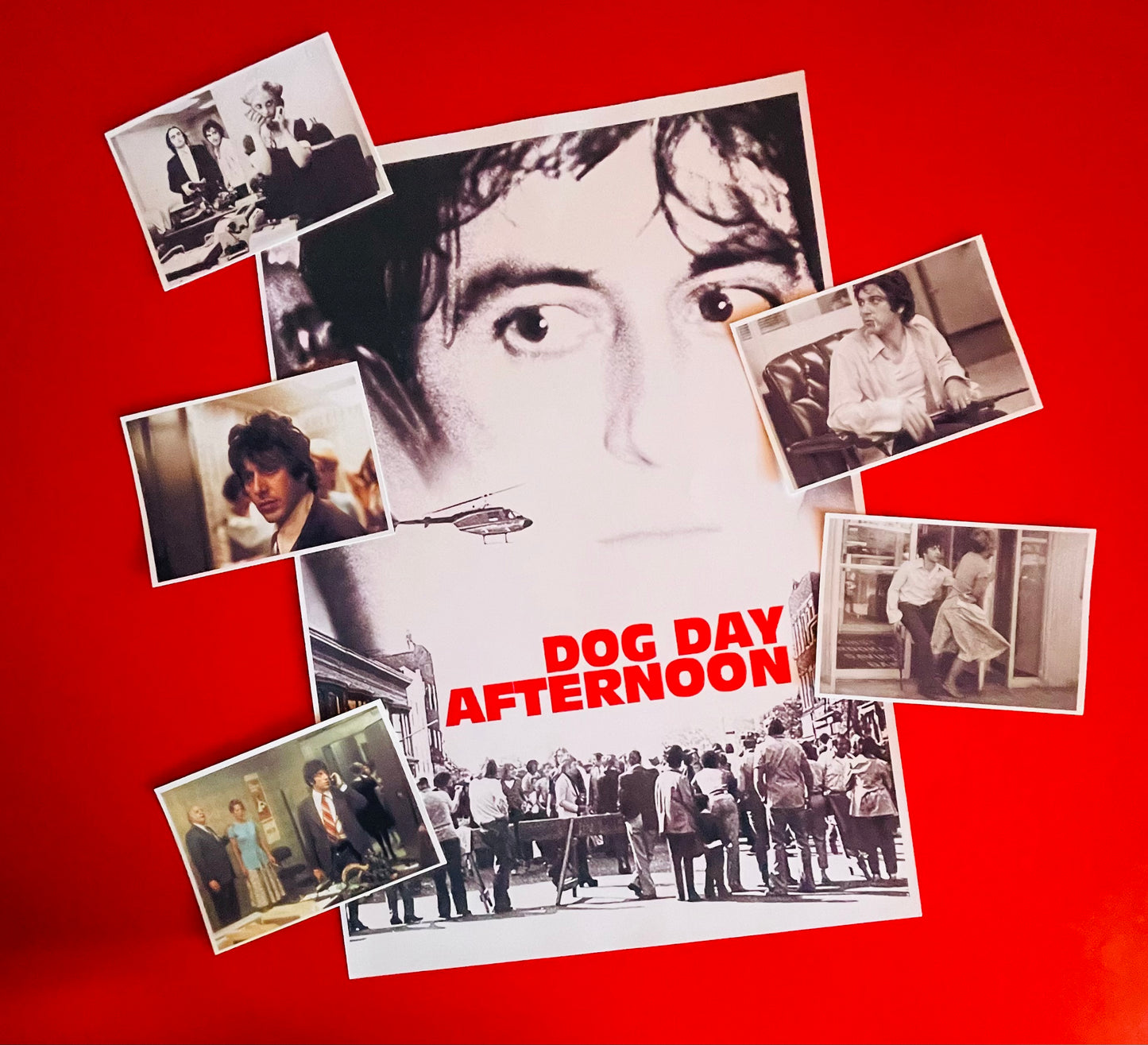 Dog Day Afternoon - Postcards + Poster