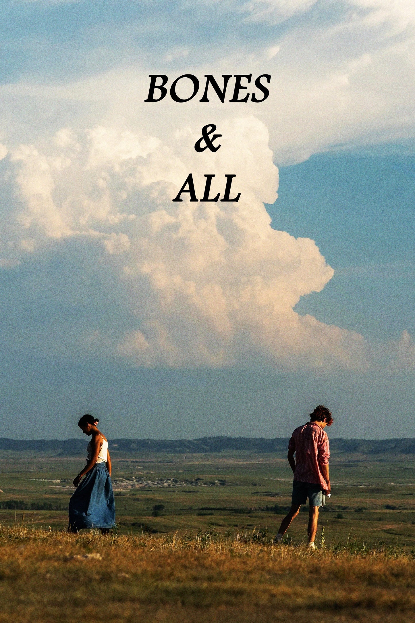 Poster: Bones and All