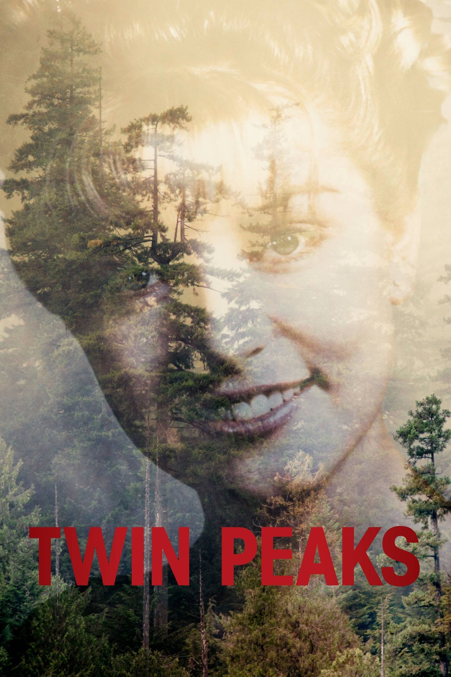 Poster: Twin Peaks