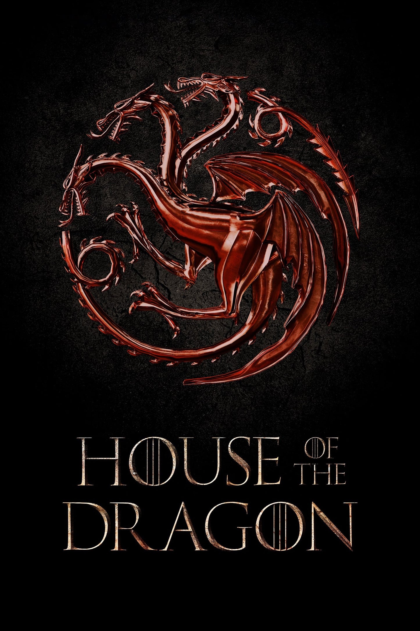 Poster: house of the dragon