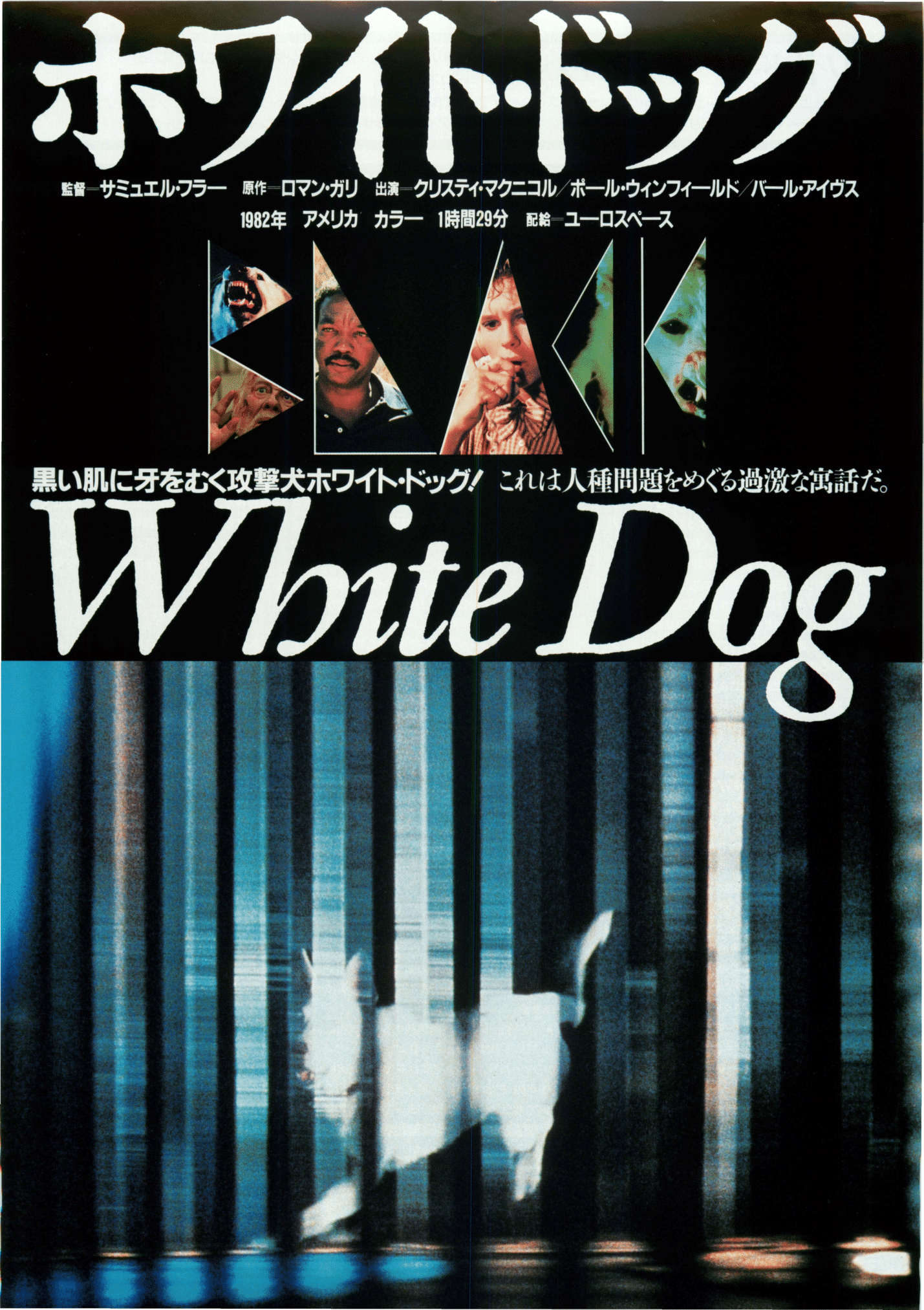 Poster: white dog